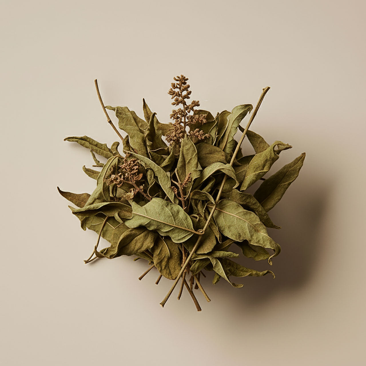patchouli