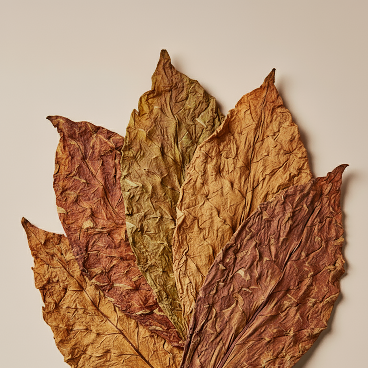 tobacco